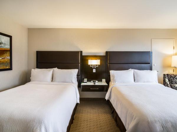 Holiday Inn Vancouver-Centre Broadway, an IHG Hotel : photo 2 de la chambre chambre standard