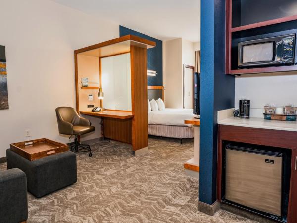 Springhill Suites by Marriott San Antonio Alamo Plaza/Convention Center : photo 1 de la chambre suite lit king-size avec canapé-lit