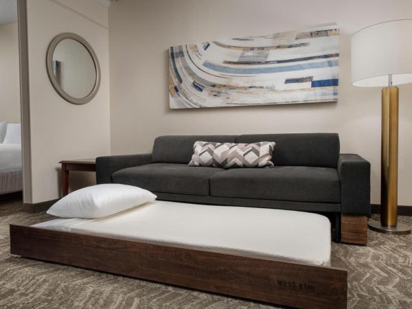 SpringHill Suites Dallas Addison/Quorum Drive : photo 2 de la chambre suite lit king-size avec canapé-lit et baignoire adaptée - accessible aux personnes à mobilité réduite et malentendantes