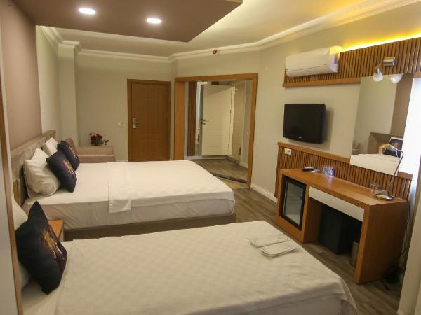 ÇEVİK PALACE HOTEL : photo 5 de la chambre chambre familiale