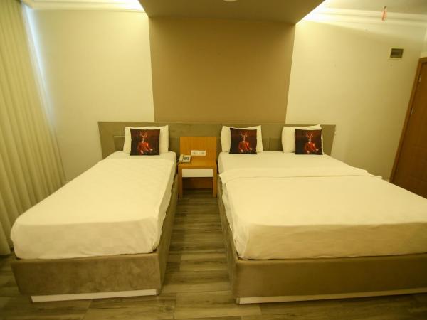 ÇEVİK PALACE HOTEL : photo 2 de la chambre chambre triple standard