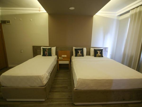 ÇEVİK PALACE HOTEL : photo 4 de la chambre chambre triple standard