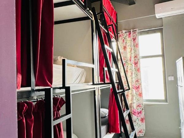 Iconic Athens Hostel : photo 2 de la chambre lit dans dortoir pour femmes de 6 lits