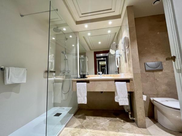 Hotel Bahía : photo 3 de la chambre chambre lits jumeaux - vue sur ville