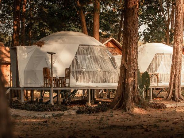 Eco Lanta Hideaway Beach Resort : photo 2 de la chambre eco dome