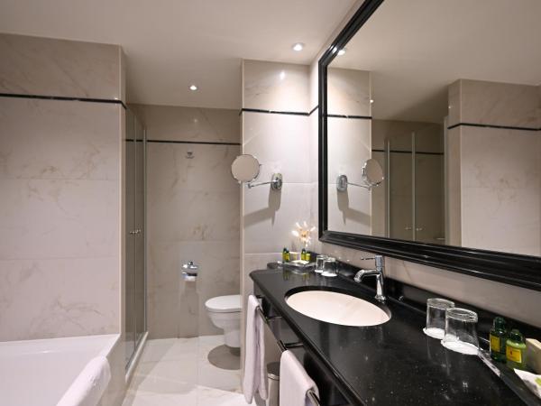 Grand Hotel Casselbergh : photo 6 de la chambre suite familiale « reine catherine »