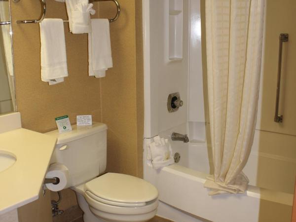 Quality Inn Colorado Springs South : photo 6 de la chambre chambre lit king-size avec canapé-lit - non-fumeurs