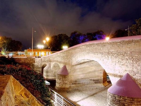 Metropolis Suites Ejecutivas : photo 8 de la chambre appartement