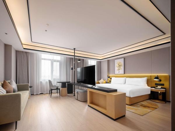 Hilton Garden Inn Beijing Temple Of Heaven East Gate Station : photo 1 de la chambre chambre lit king-size premium