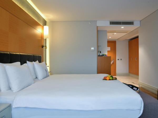 Istanbul Gonen Hotel : photo 3 de la chambre chambre double supérieure