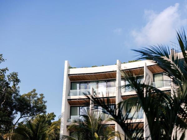 Secrets Tulum Resort & Beach Club - Adults Only - All Inclusive : photo 3 de la chambre suite junior lit king-size