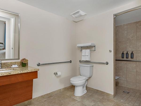 Sheraton Vistana Resort Villas, Lake Buena Vista Orlando : photo 10 de la chambre villa 2 chambres lit king-size et 2 lits simples avec balcon