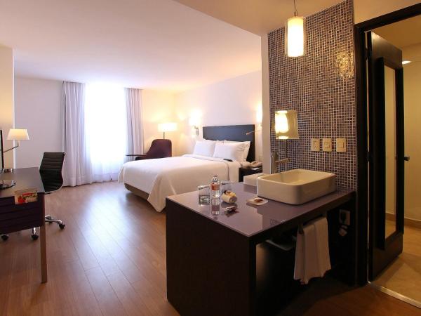 Fiesta Inn Naucalpan : photo 7 de la chambre chambre lit king-size