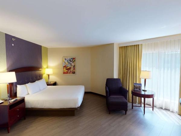 Hilton Charlotte Uptown : photo 2 de la chambre chambre d'angle lit king-size de luxe - vue sur ville