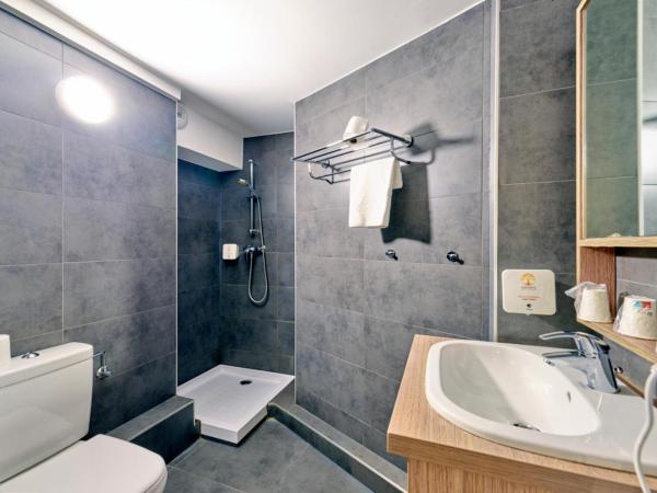 Adonis Hotel Strasbourg : photo 10 de la chambre chambre triple
