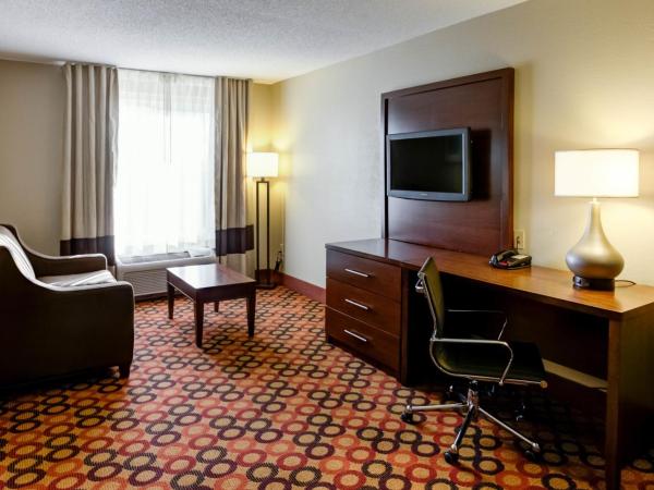 Comfort Suites Airport : photo 4 de la chambre suite lit king-size – non-fumeurs