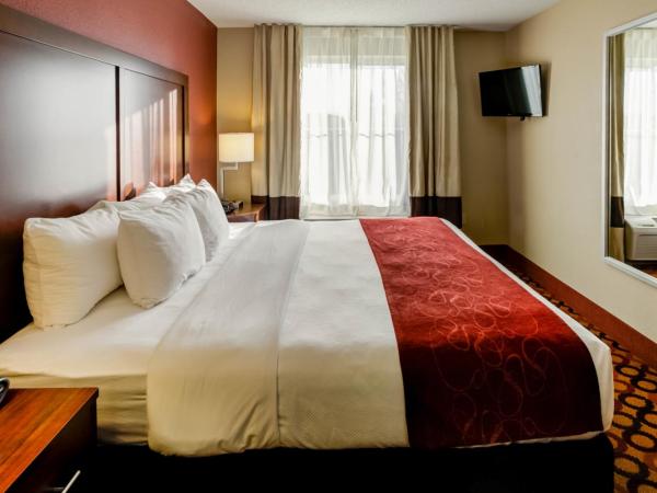 Comfort Suites Airport : photo 2 de la chambre suite lit king-size – non-fumeurs