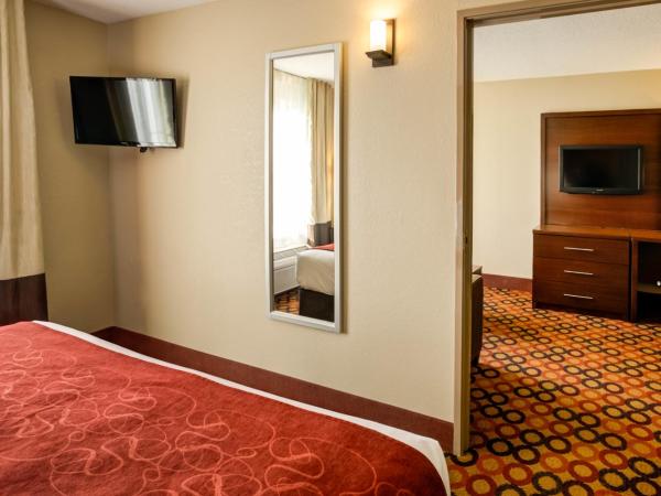 Comfort Suites Airport : photo 1 de la chambre suite lit king-size – non-fumeurs