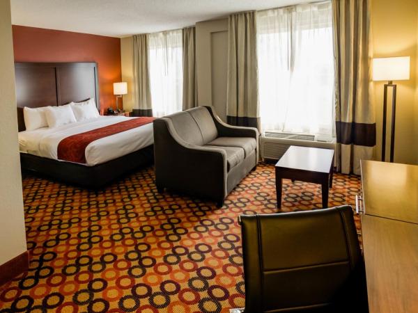 Comfort Suites Airport : photo 3 de la chambre suite lit king-size avec douche accessible en fauteuil roulant - accessible aux personnes à mobilité réduite - non-fumeurs