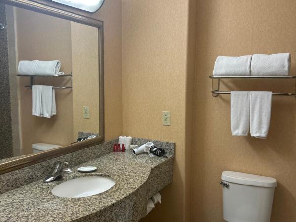 Holiday Inn Express Las Vegas-Nellis, an IHG Hotel : photo 2 de la chambre standard king room with extra space