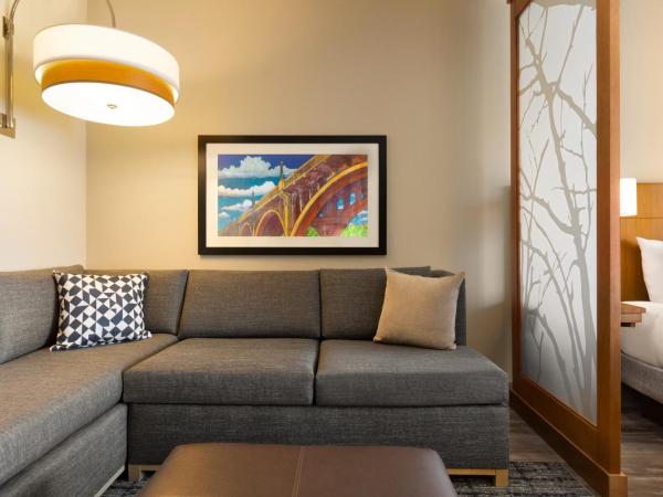 Hyatt Place Columbia/Downtown/The Vista : photo 3 de la chambre chambre lit king-size avec canapé-lit - Étage supérieur