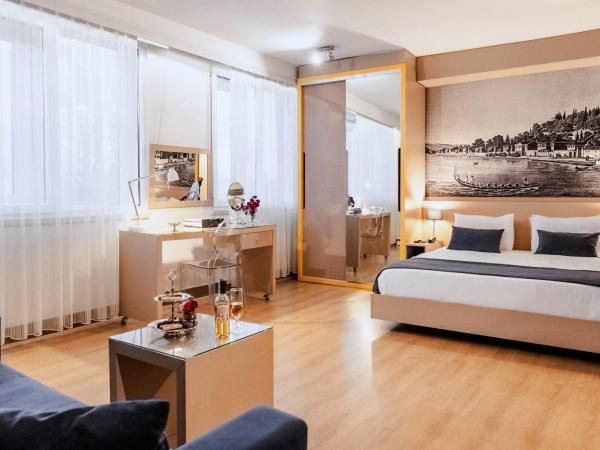 Cheya Beşiktaş Istanbul Bosphorus City Center Hotel & Suites : photo 3 de la chambre studio