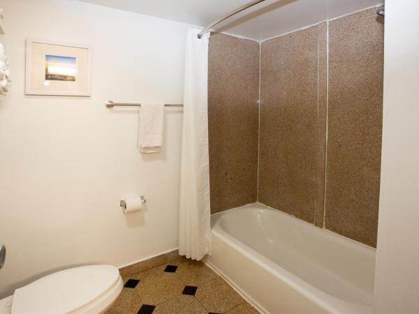 Aqua Vista Resort Hotel : photo 2 de la chambre chambre de luxe avec 2 lits queen-size - non-fumeurs - vue sur piscine