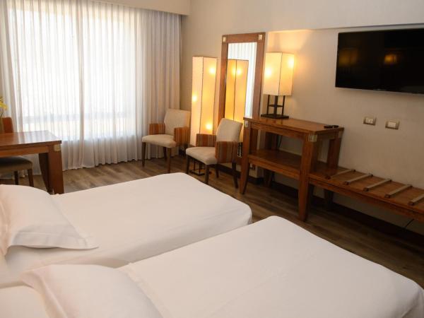 Alejandro 1º Hotel : photo 2 de la chambre chambre double ou lits jumeaux supérieure