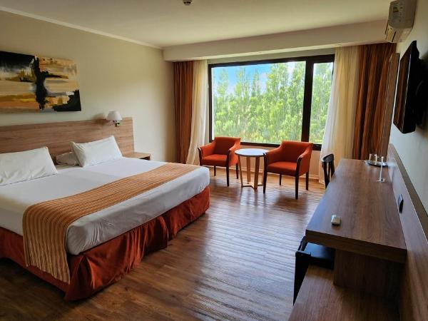 Xelena Hotel & Suites : photo 1 de la chambre chambre lit king-size standard