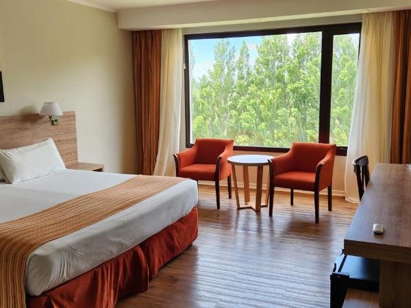 Xelena Hotel & Suites : photo 2 de la chambre chambre lit king-size standard