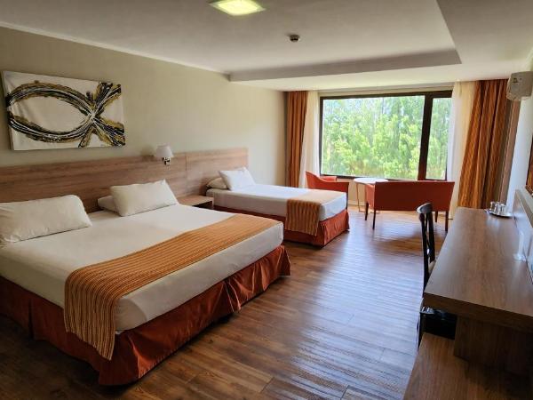 Xelena Hotel & Suites : photo 4 de la chambre chambre triple