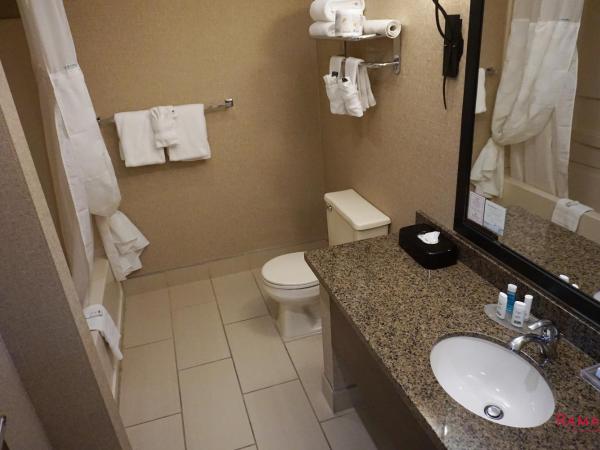 Ramada by Wyndham Kelowna Hotel & Conference Center : photo 6 de la chambre chambre lit king-size affaires - non-fumeurs