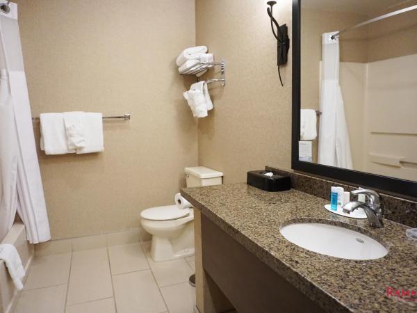 Ramada by Wyndham Kelowna Hotel & Conference Center : photo 5 de la chambre chambre affaires avec 2 lits queen-size - non-fumeurs