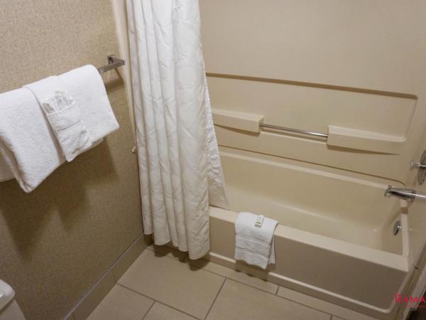 Ramada by Wyndham Kelowna Hotel & Conference Center : photo 8 de la chambre deluxe king loft suite - non-smoking