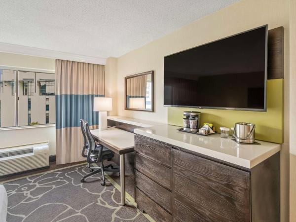 Doubletree by Hilton Charlotte Uptown : photo 3 de la chambre chambre double avec 2 lits doubles - non-fumeurs