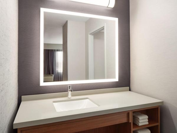Courtyard by Marriott Mississauga-Airport Corporate Centre West : photo 2 de la chambre suite lit king-size