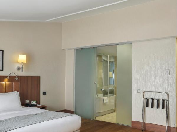 Holiday Inn Istanbul Old City, an IHG Hotel : photo 1 de la chambre chambre exécutive avec canapé-lit - non-fumeurs