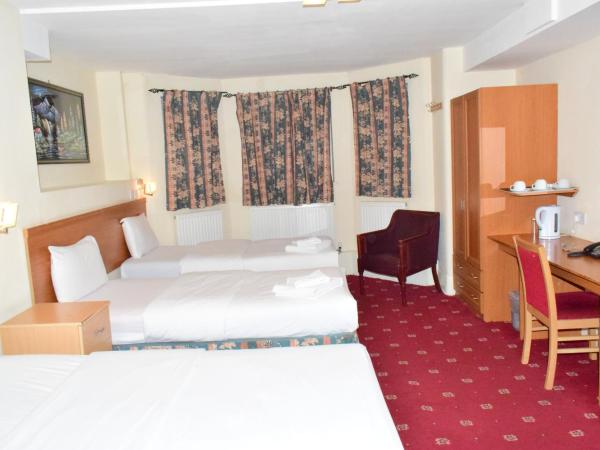 Bridge Park Hotel : photo 2 de la chambre chambre quadruple avec salle de bains privative