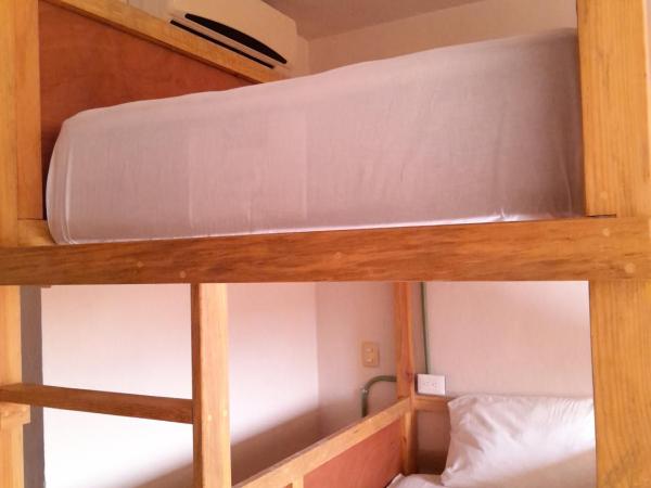 Xtabentun Hostal : photo 4 de la chambre chambre quadruple Économique