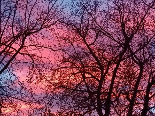 Tottam Art & Healthy Garden : photo 9 de la chambre maison de vacances