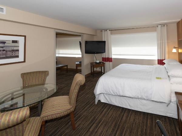 Lakeview Signature, Trademark Collection by Wyndham : photo 3 de la chambre suite lit king-size premier - non-fumeurs