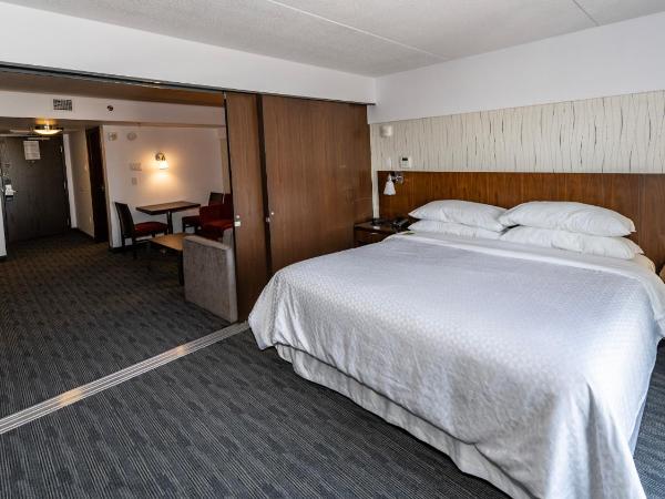 Lakeview Signature, Trademark Collection by Wyndham : photo 2 de la chambre suite lit king-size deluxe - non-fumeurs