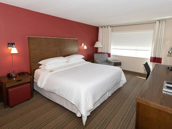 Lakeview Signature, Trademark Collection by Wyndham : photo 1 de la chambre chambre lit king-size - non-fumeurs