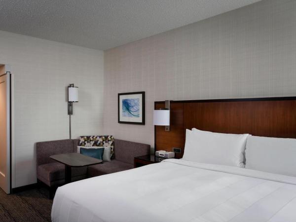 Houston Airport Marriott at George Bush Intercontinental : photo 1 de la chambre chambre lit king-size