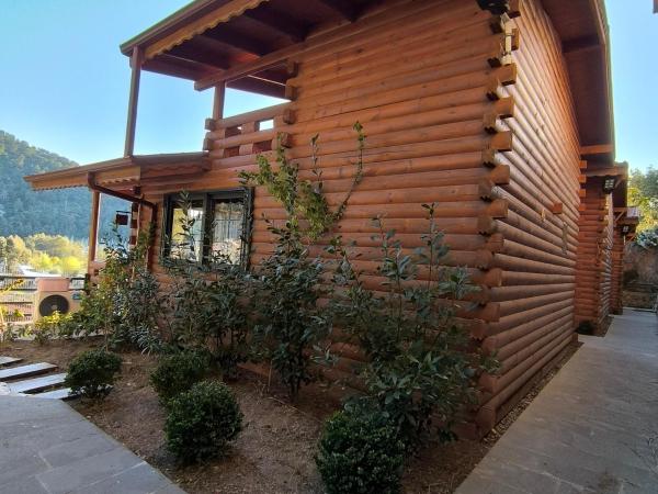 Paşa Bungalov HOTEL : photo 5 de la chambre chambre familiale