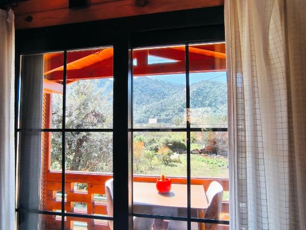 Paşa Bungalov HOTEL : photo 4 de la chambre chambre double ou lits jumeaux