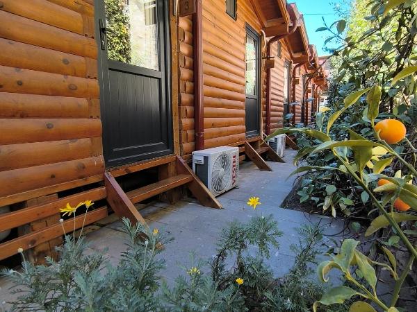 Paşa Bungalov HOTEL : photo 7 de la chambre chambre double ou lits jumeaux