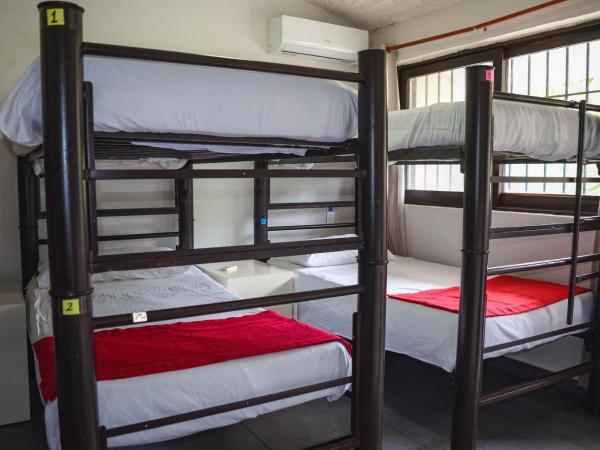 Naranjo Hostel : photo 4 de la chambre lit superposé dans dortoir mixte