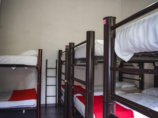 Naranjo Hostel : photo 5 de la chambre lit superposé dans dortoir mixte