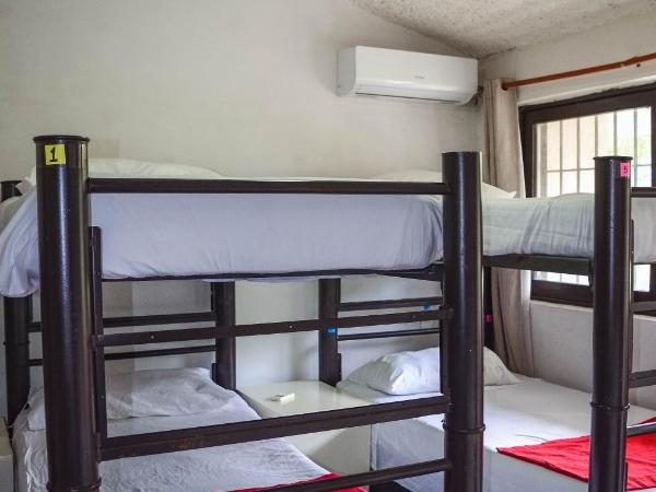 Naranjo Hostel : photo 7 de la chambre lit superposé dans dortoir mixte